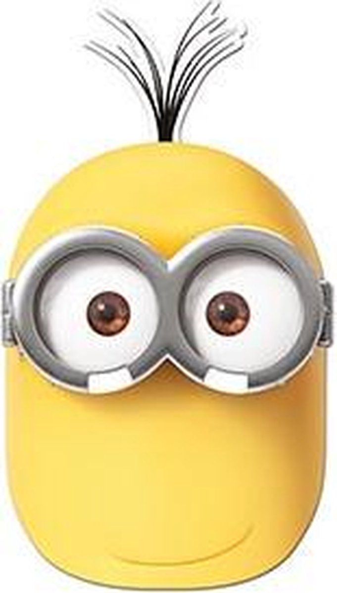 RUBIES FRANCE - Despicable Me Minion Kevin masker - Maskers > Half maskers